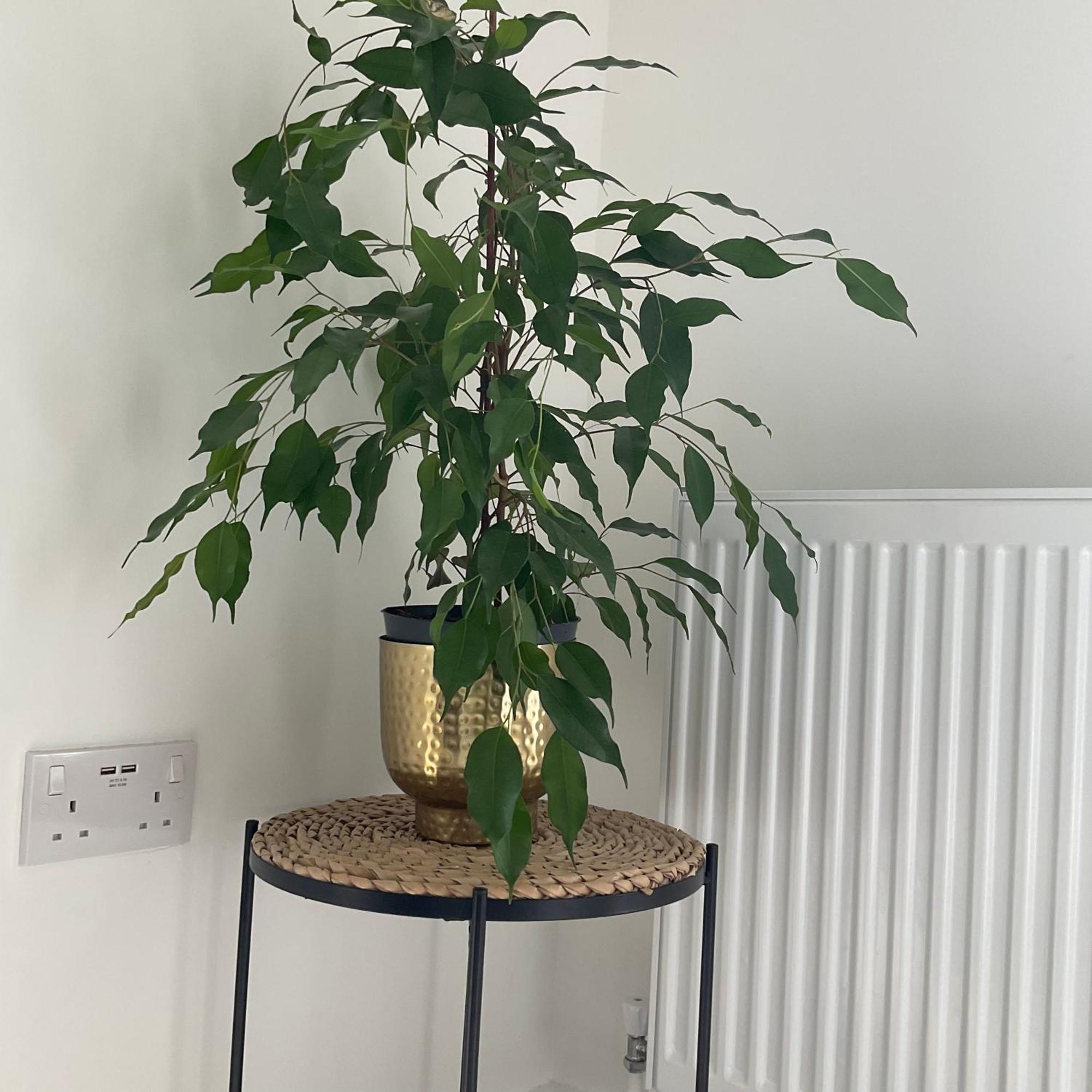 The Parkes A Stylish 3Br House, 5 Mins From Central Birmingham Close To The Edgbaston Stadium, The Hippodrome, Uob, Aston And Bcu, China Town, Kings Heath Bhx Airport And Much More Eksteriør billede